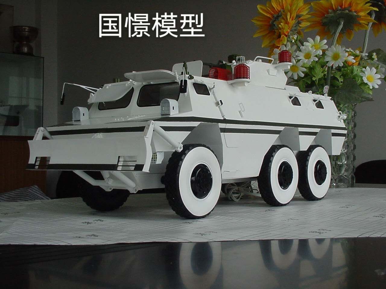 宁都县军事模型